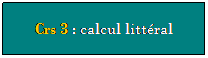 Zone de Texte: Crs 3 : calcul littral
