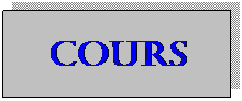 Zone de Texte: cours
