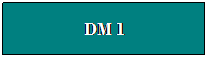 Zone de Texte: DM 1
