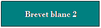 Zone de Texte: Brevet blanc 2
